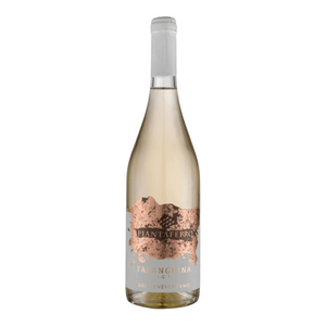 Piantaferro Falanghina I.G.T 2024 - Benevento, Italy